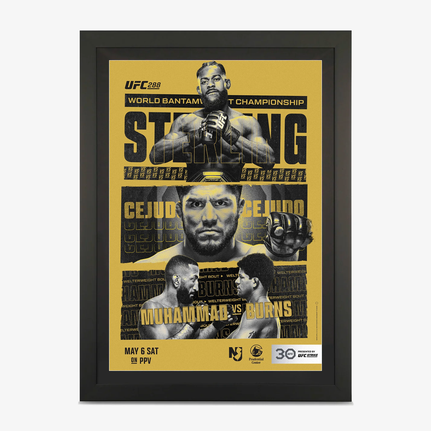 UFC 288 Autographed Event Poster, UFC SBC