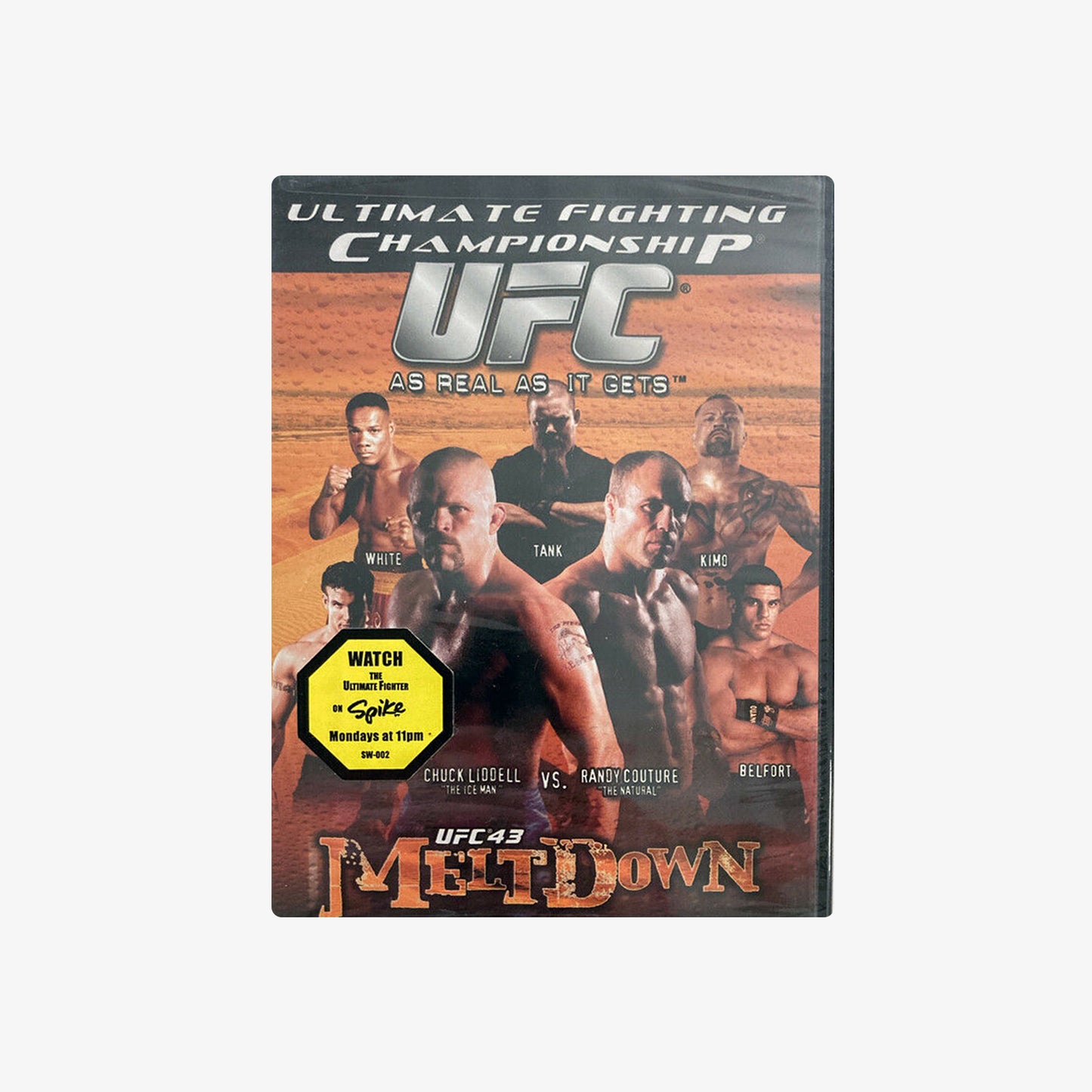 UFC 43