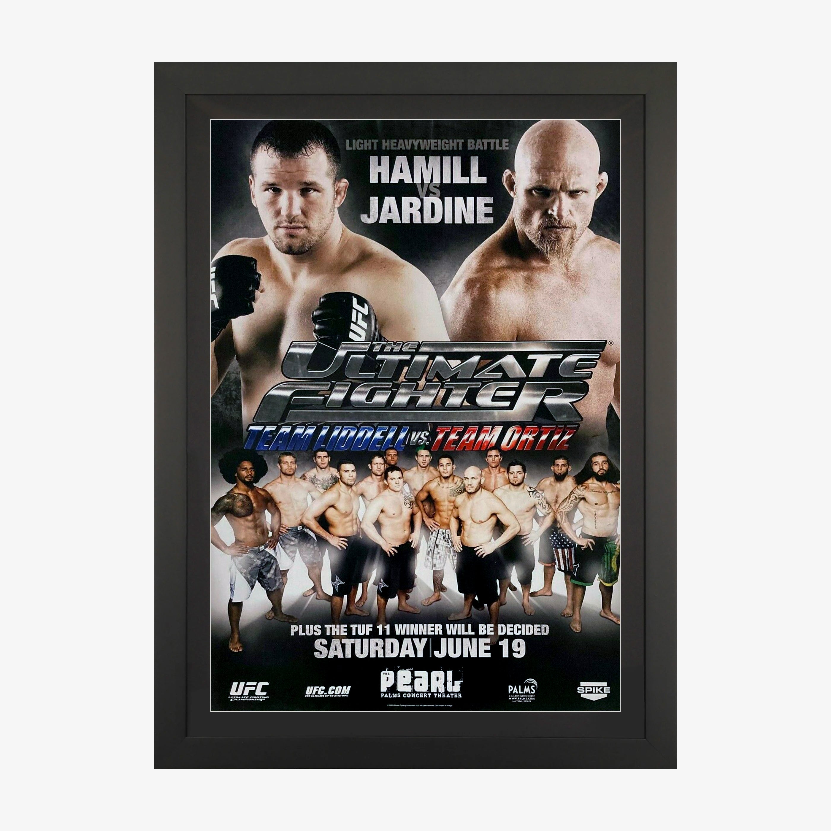 The Ultimate Fighter 11: Team Liddell vs Team Ortiz Finale Poster